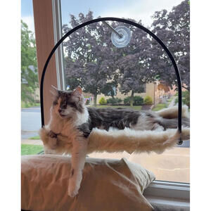 Tuft&Paw Cloud Nine Window Hammock $119 MSRP Modern Cat Furniture